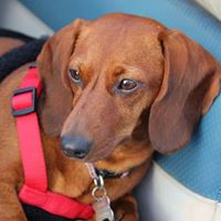 Stephanie Nunez Photo 16