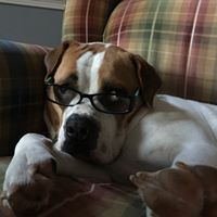 Tina Mauldin Photo 23