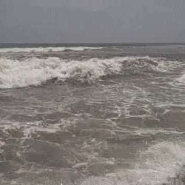 Sarah O'Hara Photo 18