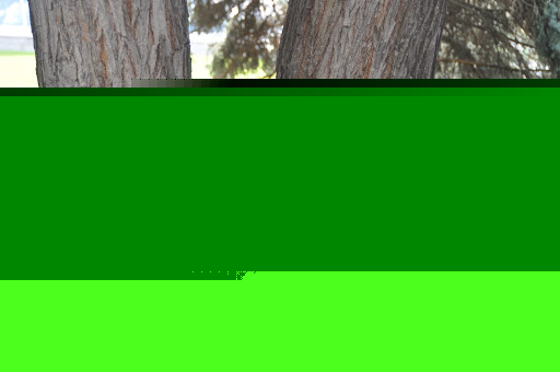 Cindy Mcguire Photo 11