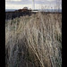 Mary Sands Photo 34