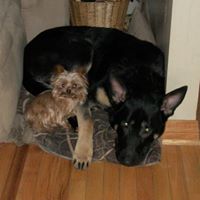 Dorothy Phillips Photo 25