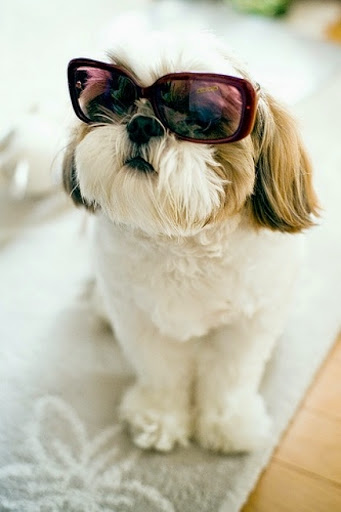 Margie Smith Photo 28