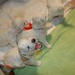 Michelle Pappas Photo 7
