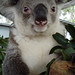 Cheryl Close Photo 33