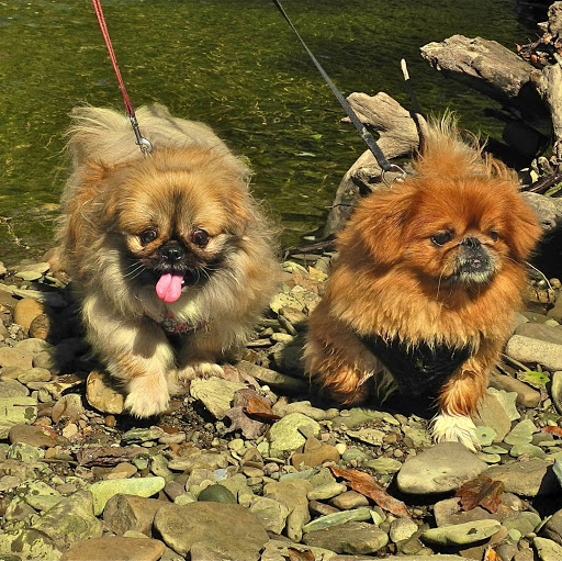 Sharon Mackey Photo 14