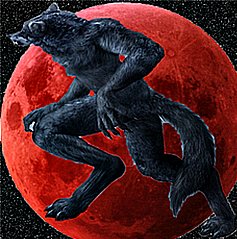 Matthew Mcdaniel Photo 42