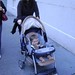 Laurie Reese Photo 42