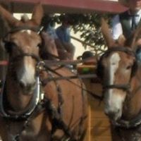 Kelli Kraft Photo 17