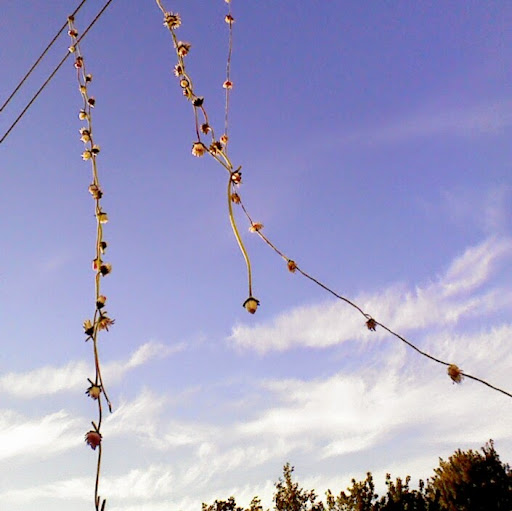 Debbie Curran Photo 9 Debbie Curran Photo 9