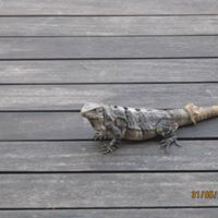 Travis Shultz Photo 10