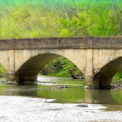 Cynthia Cherry Photo 15