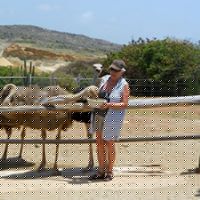 Debra Sheridan Photo 9