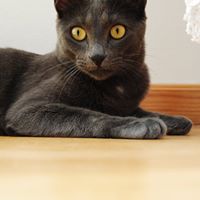 Michael Gaspar Photo 17