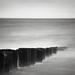 Do Long Photo 22
