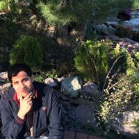 Reza Fard Photo 16