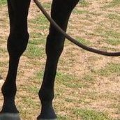 Teresa Bowden Photo 31