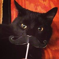 Edward Bird Photo 23