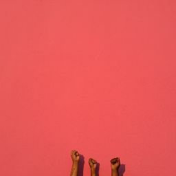 Joy Johnson Photo 23
