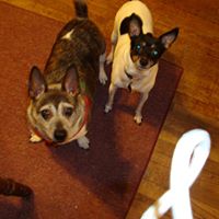 Patty Diemer Photo 4
