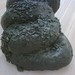 Qiu Wang Photo 8