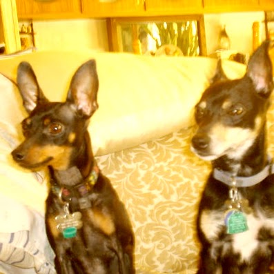 Sharon Lehman Photo 21