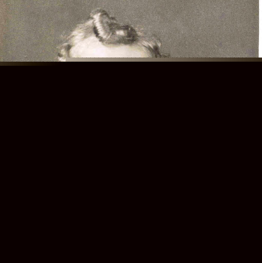 Robert Springer Photo 11