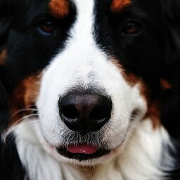 Jeff Dennis Photo 31