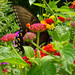 Carroll Sharp Photo 11