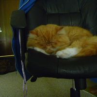 Faye Wagner Photo 19