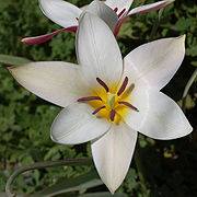 Sandra Kendall Photo 34