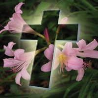 Janet Craft Photo 11