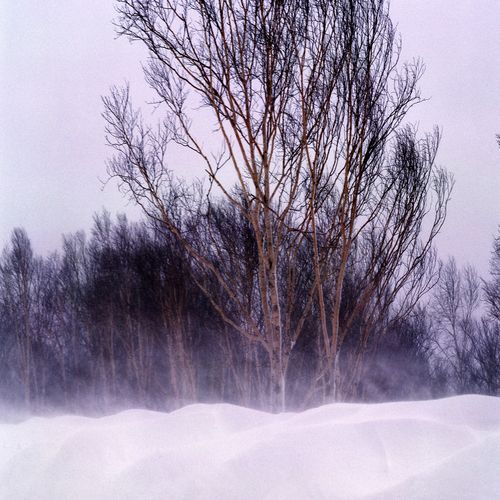 Ruth Garcia Photo 32 Ruth Garcia Photo 32