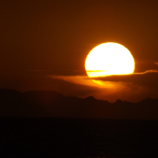 Norma Sanchez Photo 5