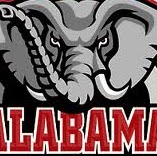 Steve English Photo 35