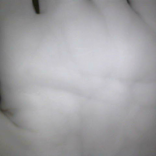 Scott Medina Photo 7