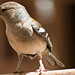 Mary Fletcher Photo 8