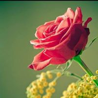 Leigh Carpenter Photo 10