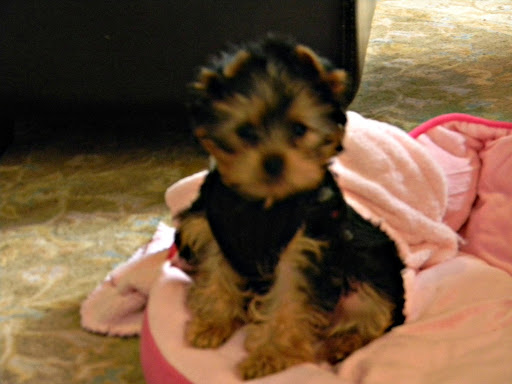 Michelle Crain Photo 17