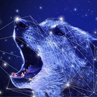 Michael Strand Photo 23