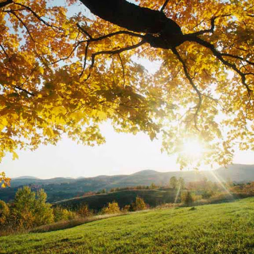 Richard Compton Photo 39