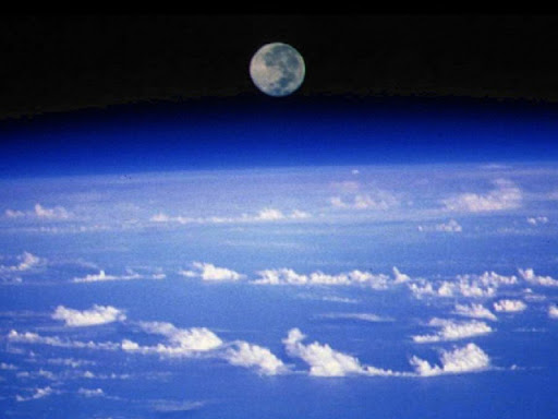 Sheila Zimmerman Photo 3