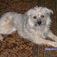 Nancy Inman Photo 16