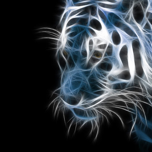 Mohammad Syed Photo 12