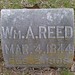 William Reed Photo 31