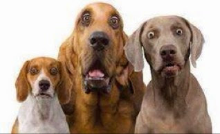 Carla Miller Photo 16