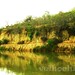 Francisco Rios Photo 19