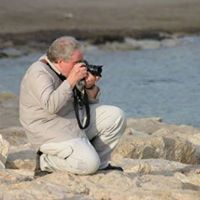 Peter Swanson Photo 26