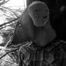 Timothy Armstrong Photo 19