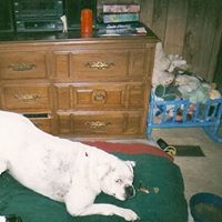 Jimmy Splawn Photo 6